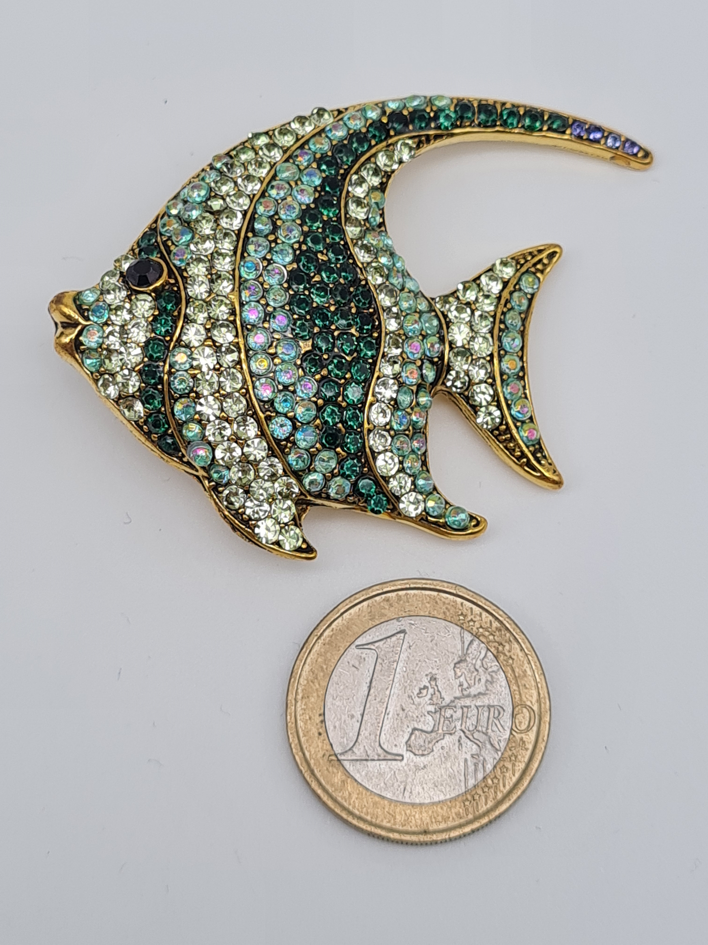 Brosche Meerestiefe Muschel doktorfisch Plattfisch Seepferdchen buntbarsch