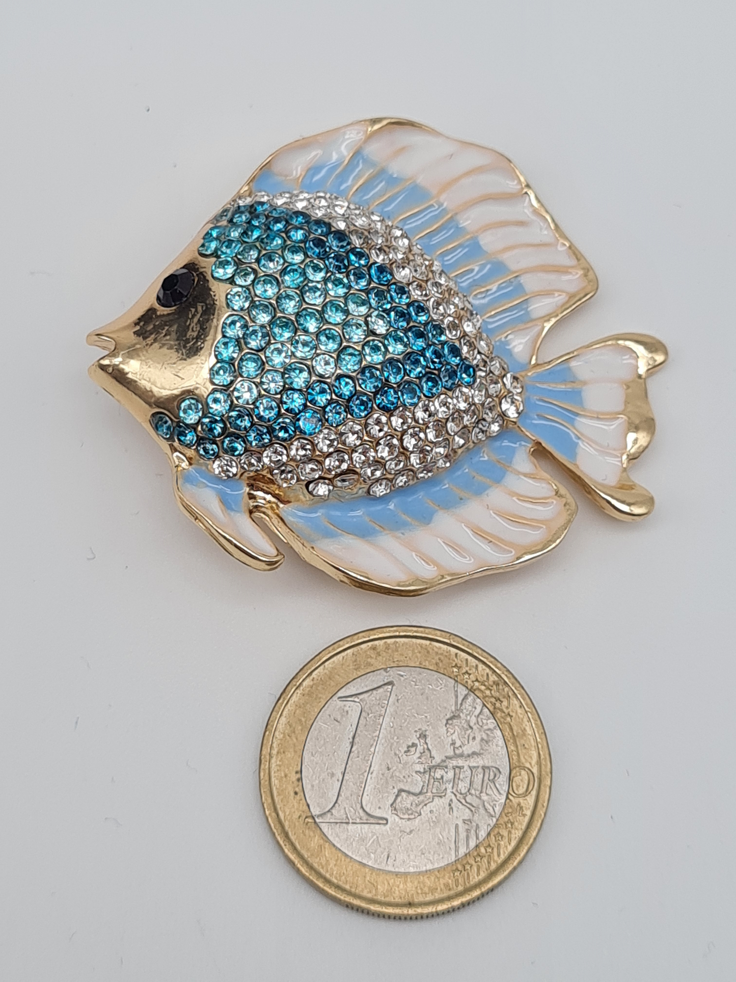 Brosche Meerestiefe Muschel doktorfisch Plattfisch Seepferdchen buntbarsch