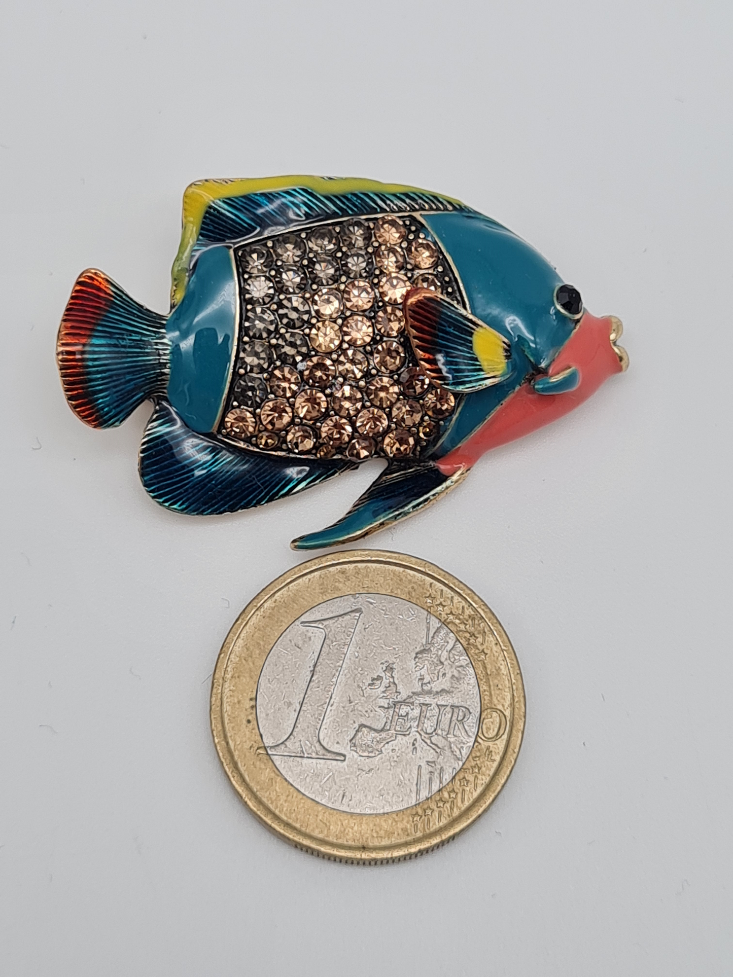 Brosche Meerestiefe Muschel doktorfisch Plattfisch Seepferdchen buntbarsch
