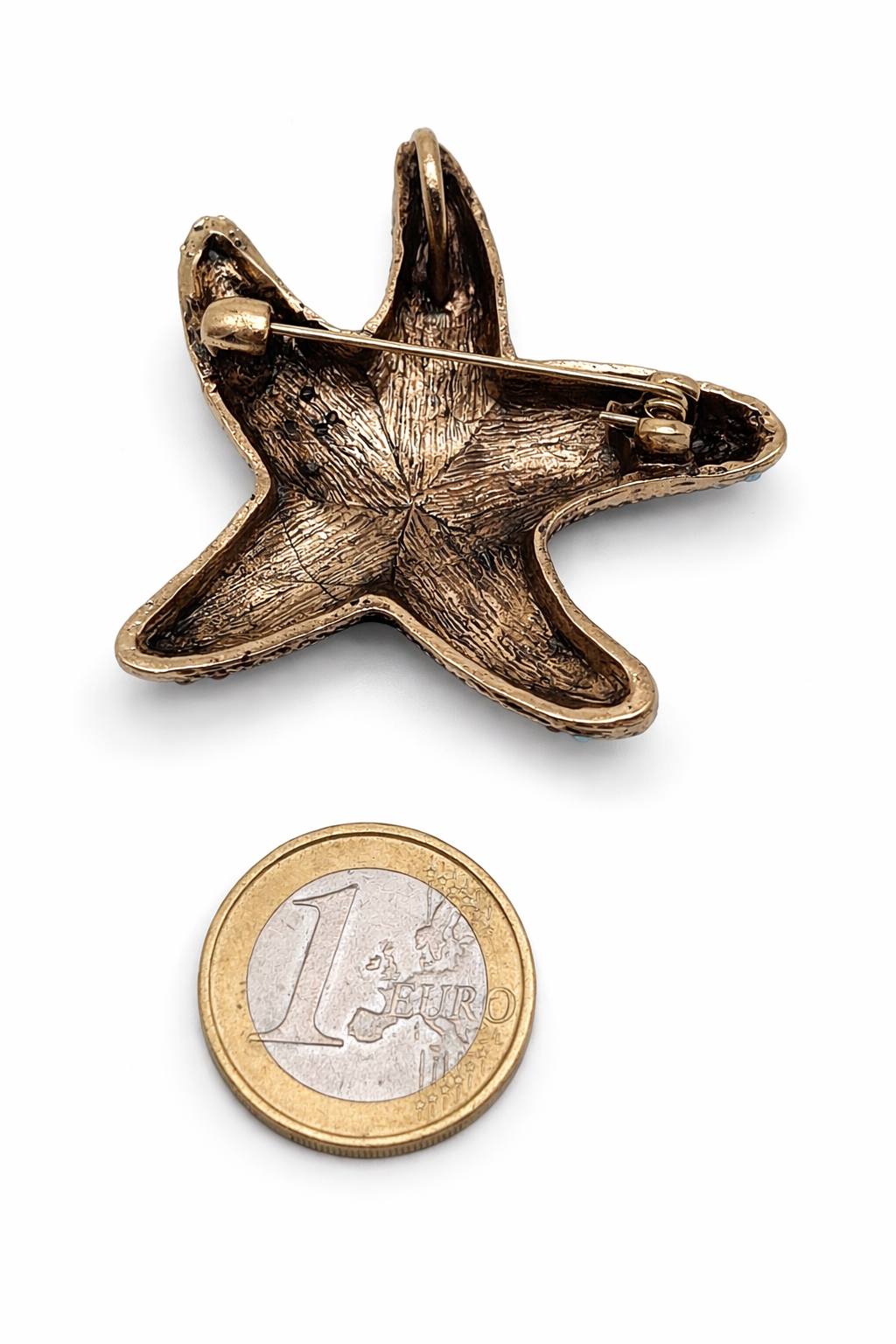 Brosche Muschel Krebs Seestern Urlaub Strand Meer Aquarium