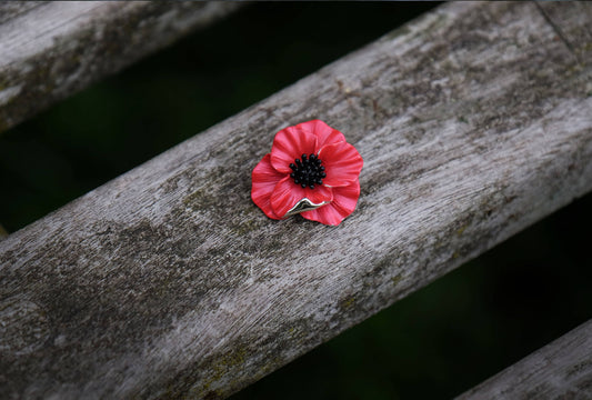 Brosche Anstecknadel mit roter Mohnblume Papaver Rot Blume