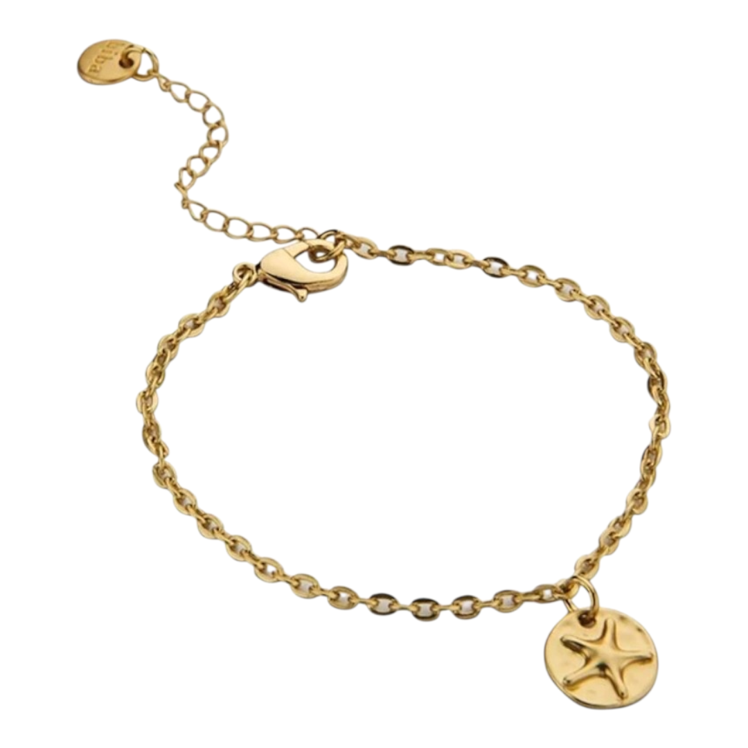 Armband Bettelarmband Matt Silberfarben Matt Goldfarbenem Seestern Biba