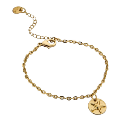 Armband Bettelarmband Matt Silberfarben Matt Goldfarbenem Seestern Biba